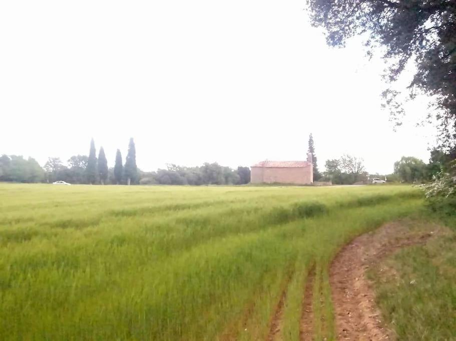 Апартаменти El Niuet De Cal Cacuet, La Teva Escapada Rural. Avia Екстер'єр фото